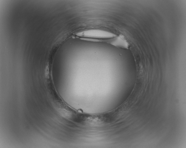 X0000068860502200605192021