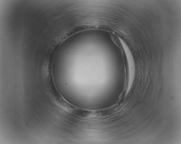 X0000068860504200605192021