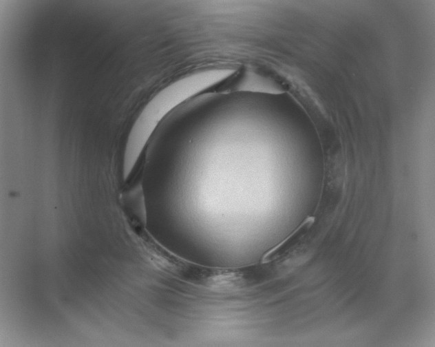 X0000068860505200605192021