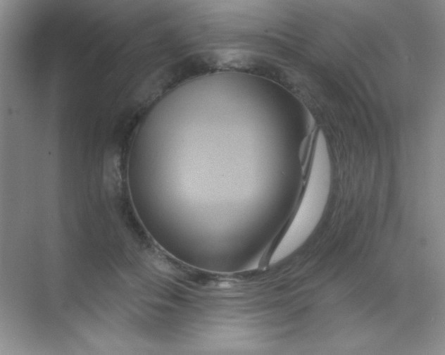 X0000068860506200605192021