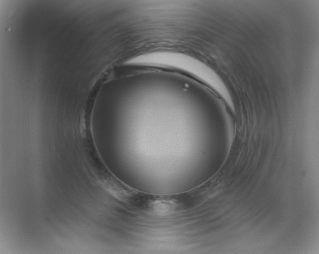 X0000068860508200605192021