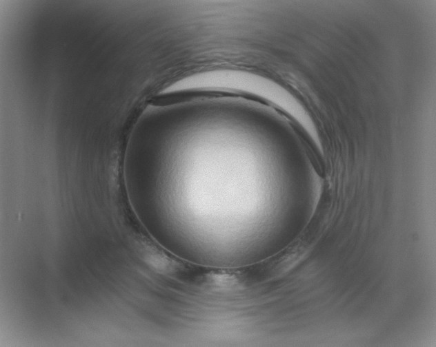 X0000068860509200605192021