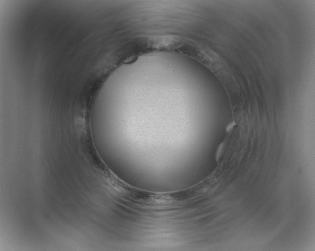 X0000068860510200605192021