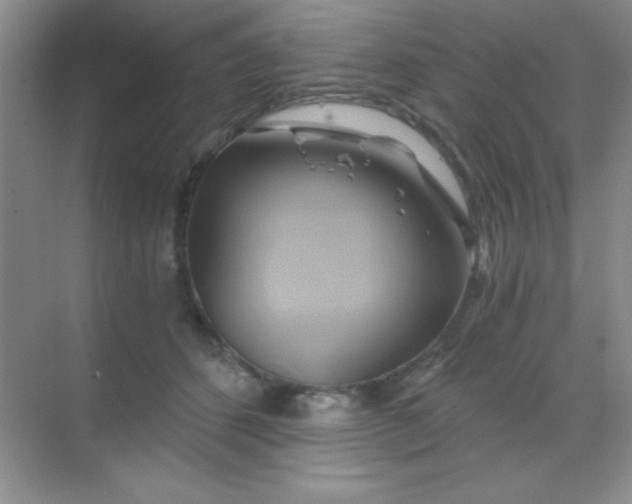 X0000068860512200605192021