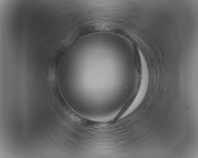 X0000068860513200605192021