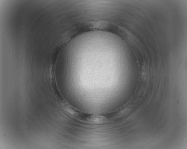 X0000068860514200605192021