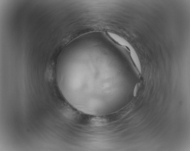 X0000068860515200605192021