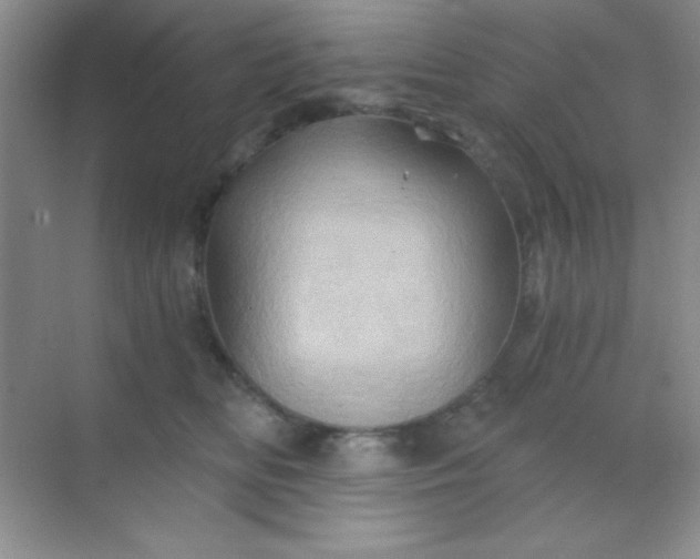 X0000068860518200605192020