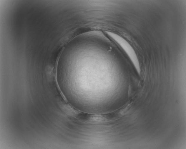 X0000068860521200605192020