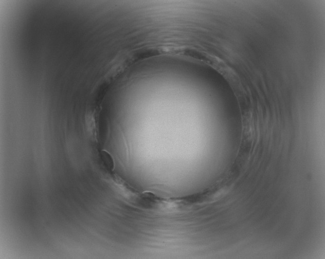 X0000068860523200605192020