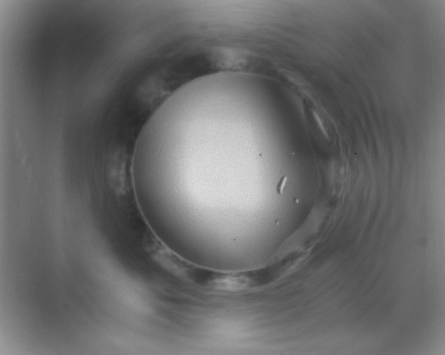 X0000068860525200605192020