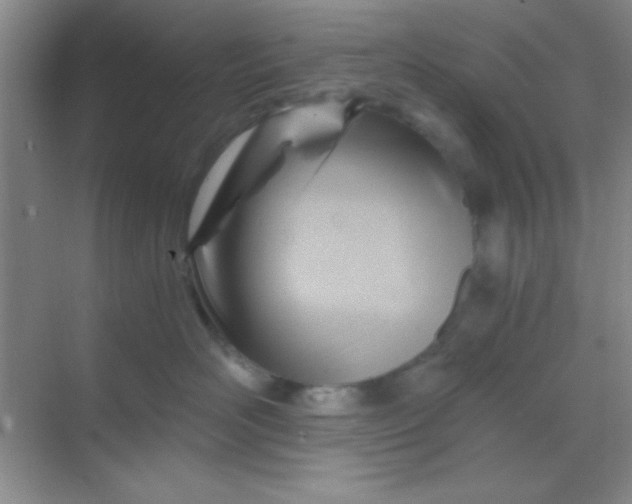 X0000068860526200605192020