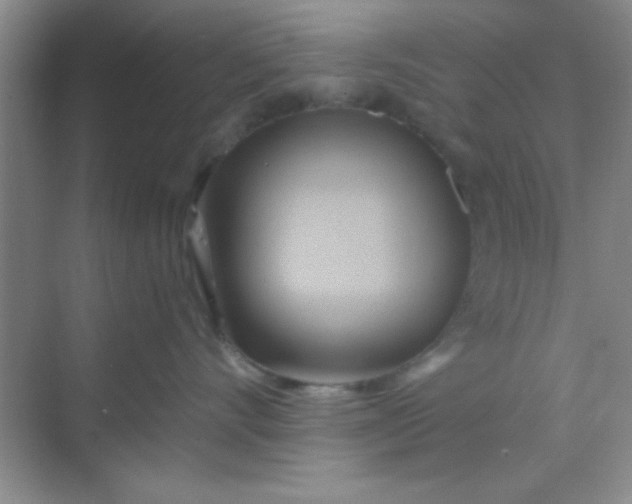 X0000068860528200605192020