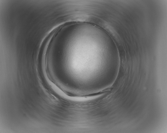 X0000068860532200605192020