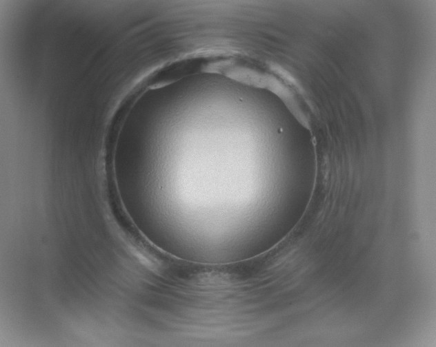 X0000068860535200605192020