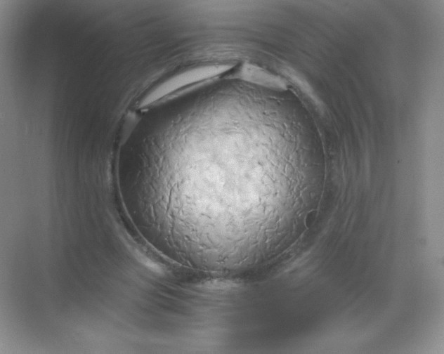 X0000068860537200605192020