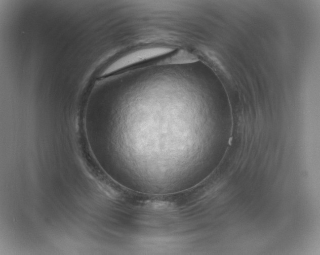 X0000068860539200605192020