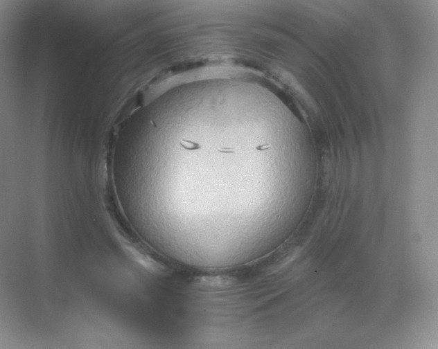 X0000068860541200605192020