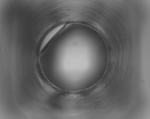 X0000068860542200605192020