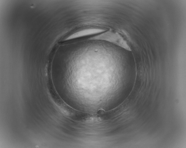 X0000068860543200605192020