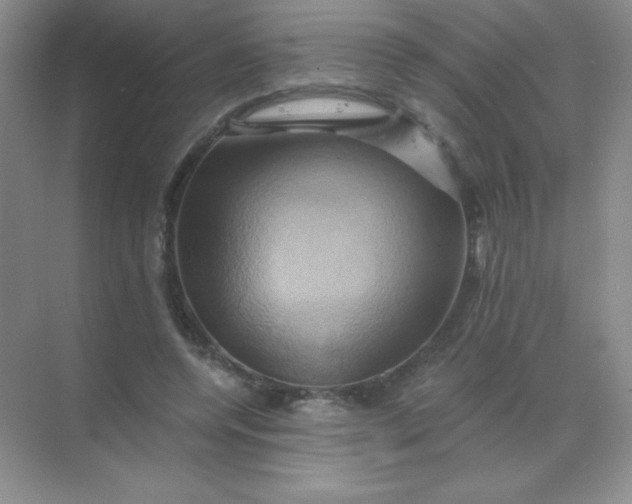 X0000068860544200605192020