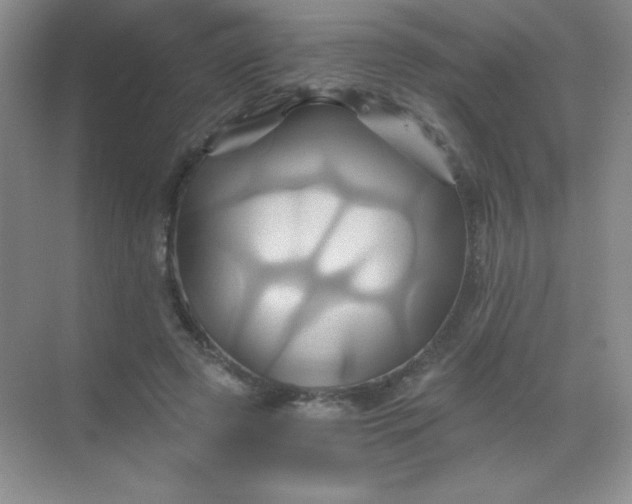 X0000068860545200605192020