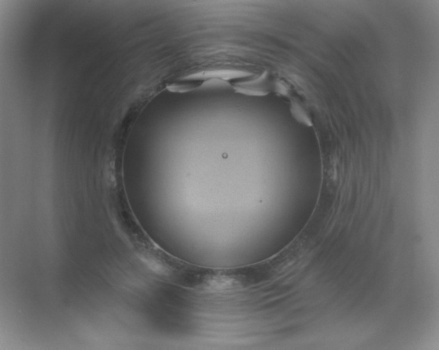 X0000068860547200605192020
