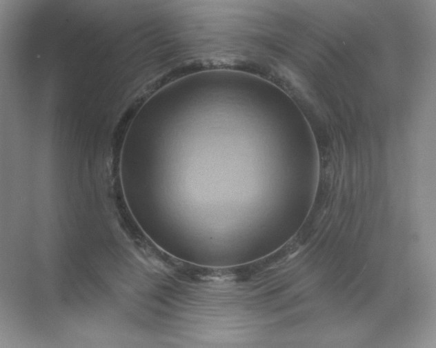 X0000068860548200605192020