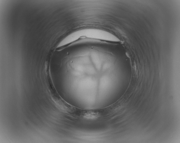 X0000068860550200605192020