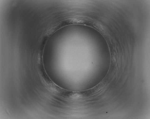 X0000068860551200605192020