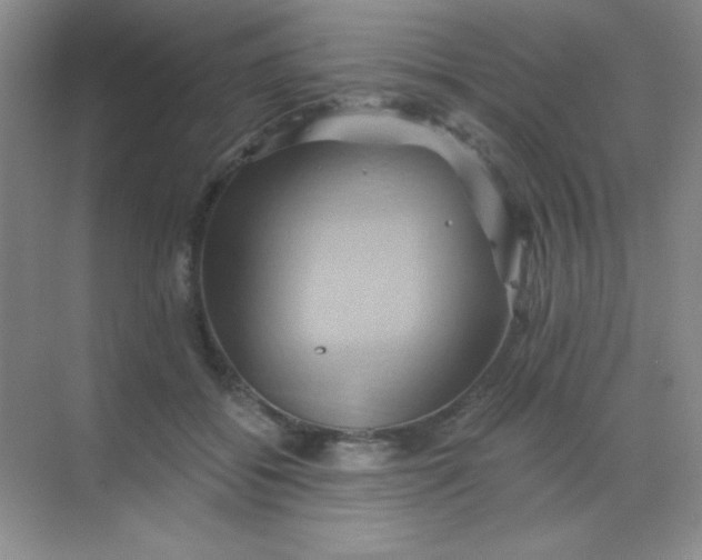 X0000068860556200605192020