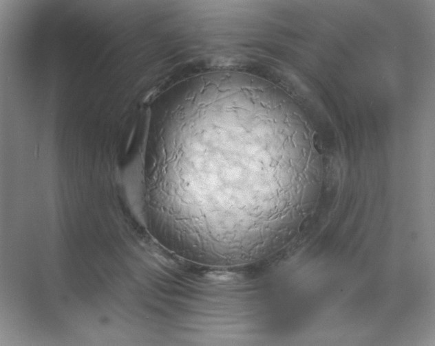 X0000068860557200605192020