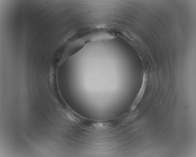 X0000068860558200605192020