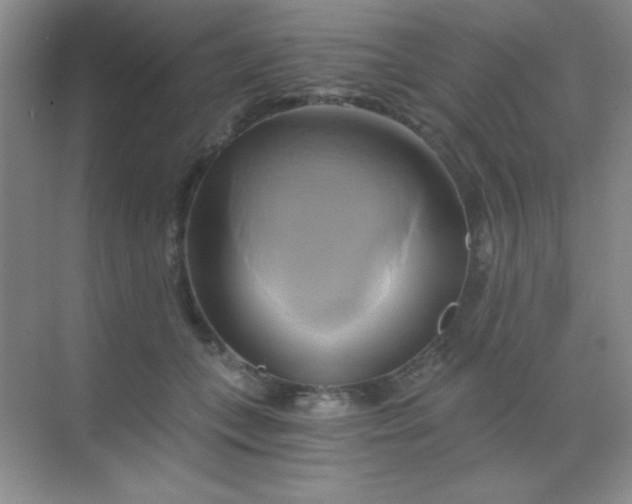 X0000068860559200605192020