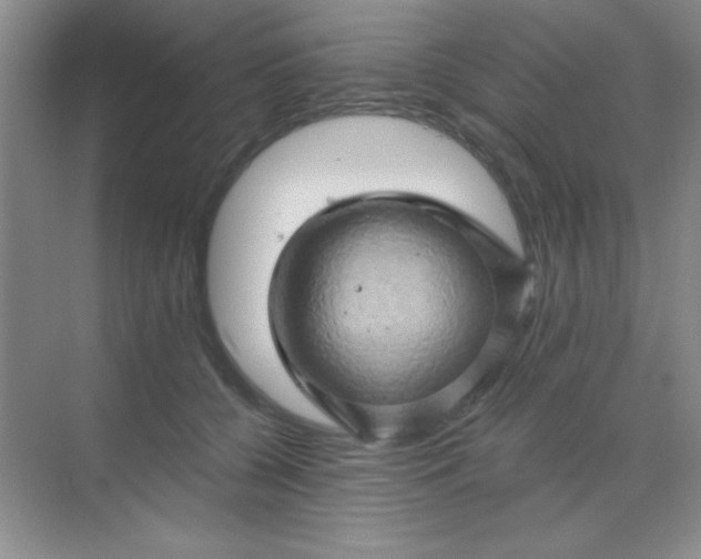 X0000068860560200605192020