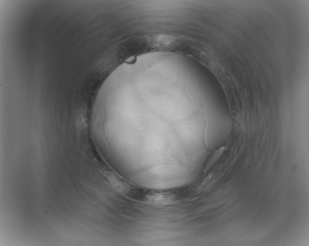 X0000068860561200605192020