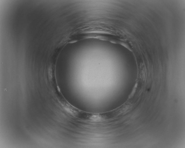 X0000068860562200605192020