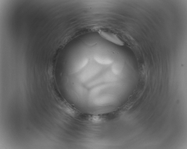 X0000068860565200605192020