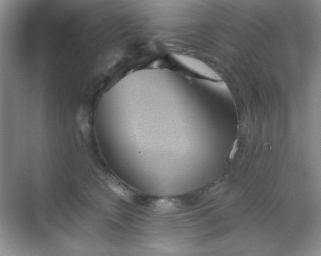 X0000068860566200605192020