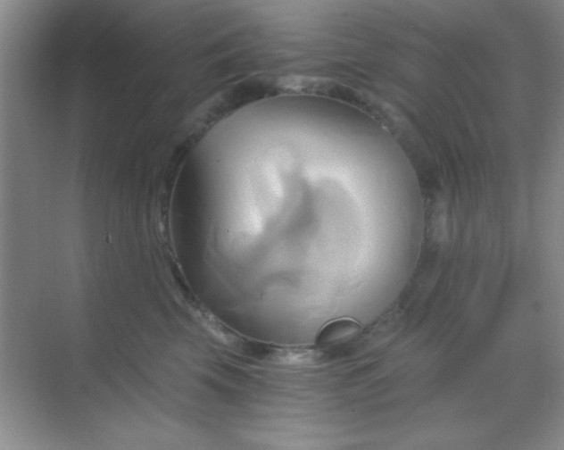 X0000068860569200605192020