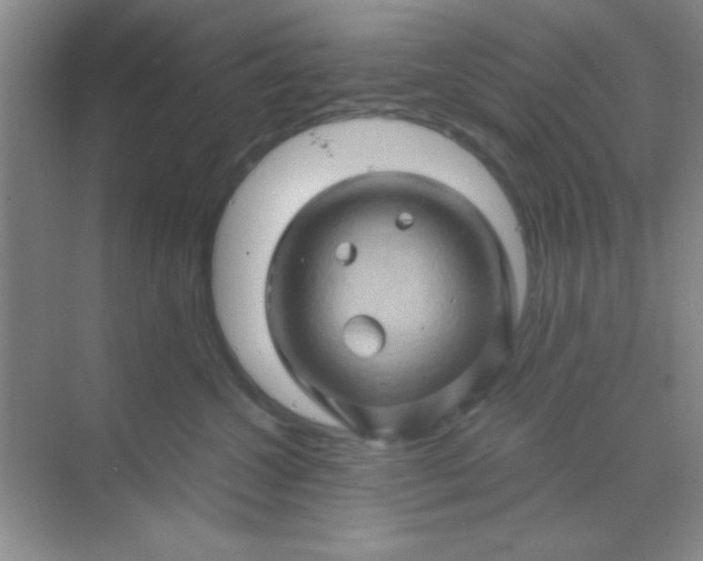 X0000068860572200605192020