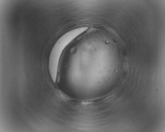 X0000068860573200605192020