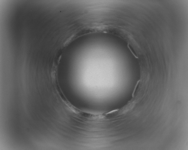 X0000068860576200605192020