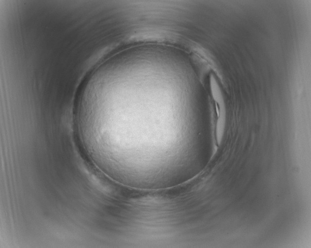 X0000068860578200605192019