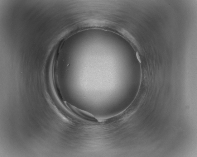 X0000068860581200605192019