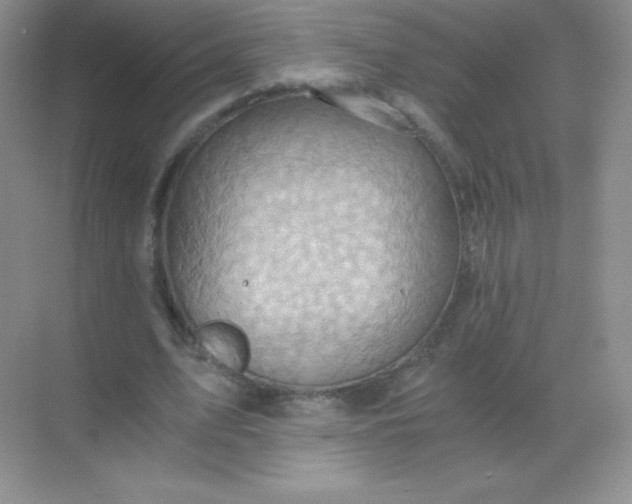 X0000068860583200605192019