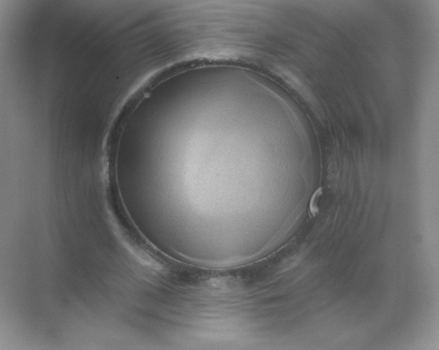 X0000068860584200605192019