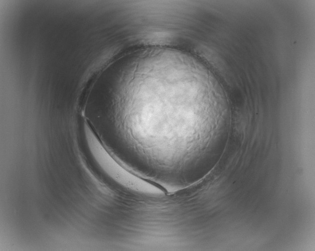 X0000068860586200605192019