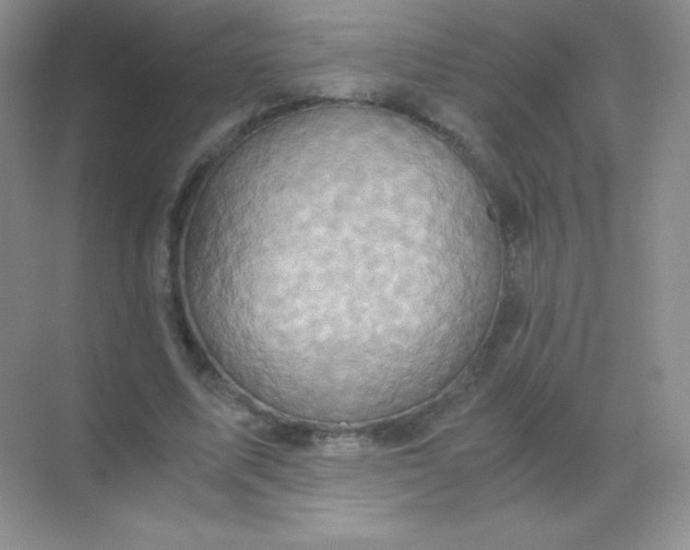 X0000068860587200605192019