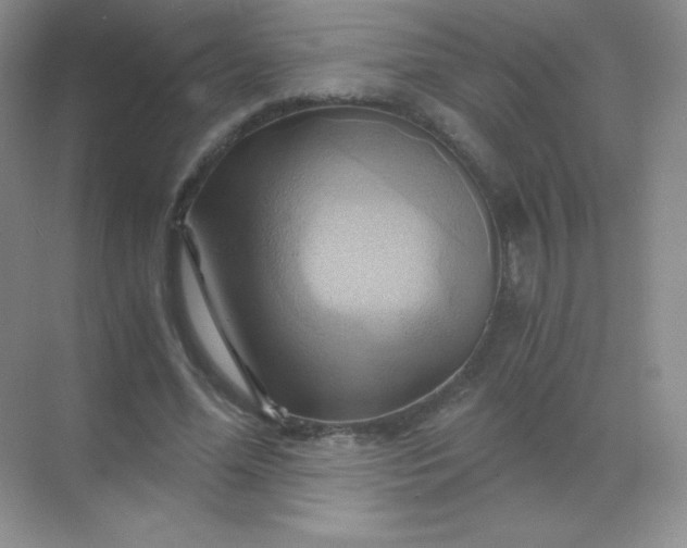 X0000068860588200605192019